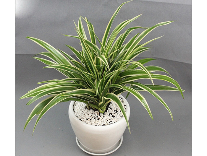 深圳市办公家具厂