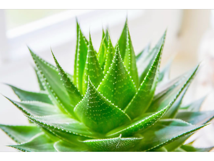 深圳市办公家具厂